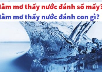 Nằm mơ thấy nước đánh số mấy?