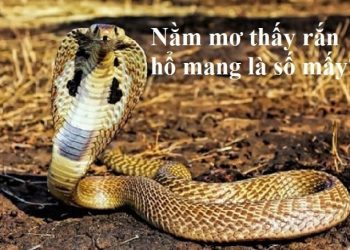 Mo-thay-ran-ho-mang-0-min