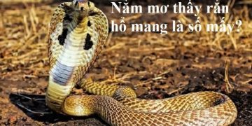 Mo-thay-ran-ho-mang-0-min