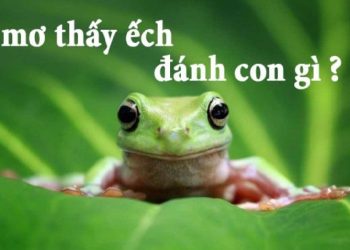 mo-thay-ech-danh-con-gi