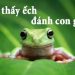 mo-thay-ech-danh-con-gi