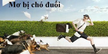 mo-bi-cho-duoi-min